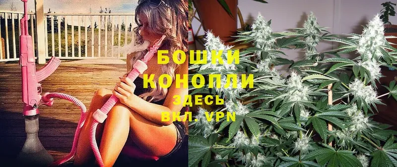 Бошки Шишки THC 21%  Владимир 